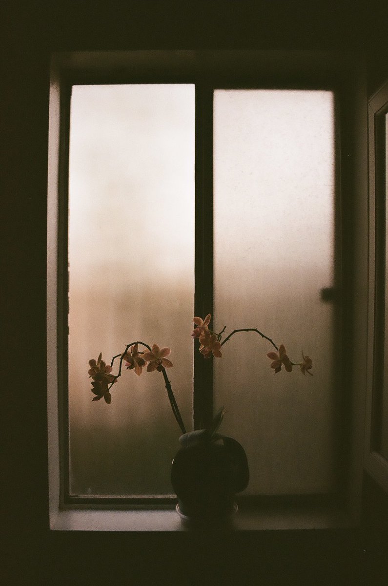 AndrewSacchini's tweet photo. Got my first roll of film back 🎞️#kodakgold200 #nikonFG20 https://t.co/ZaSlUL4p6t