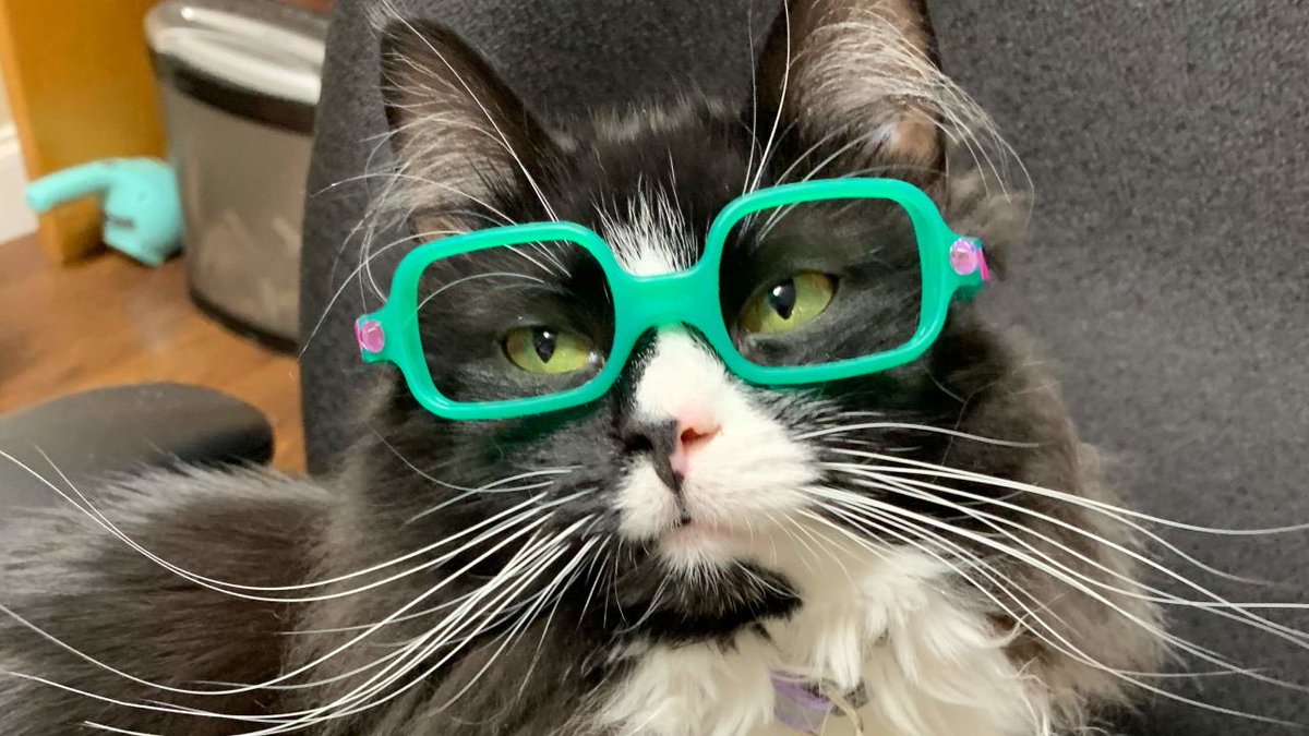 Meine Assistenz sie trägt gez Brille!