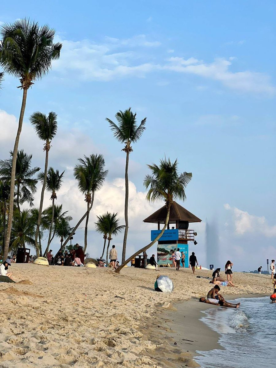 Ava (@ava110562261637) on Twitter photo 