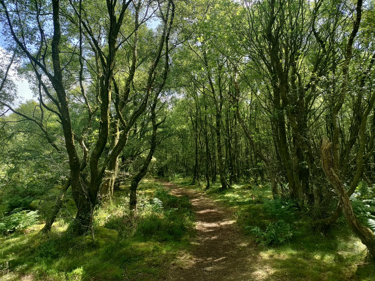 megjlow's tweet photo. Just finished walking #HadriansWall with @robjlow From the shore on Bowness on Solway to King Edwards Bay, North Shields. A fantastic experience with great scenery, from estuary walks, scrambling over crags, walking over hills and through woods. Heard many birds. #nationalpath https://t.co/XSOHnm17qK