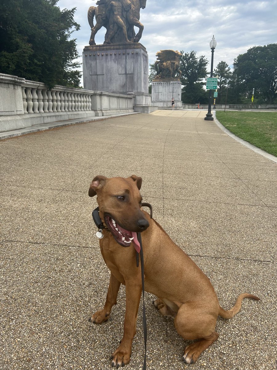 Ready for lunch- lol