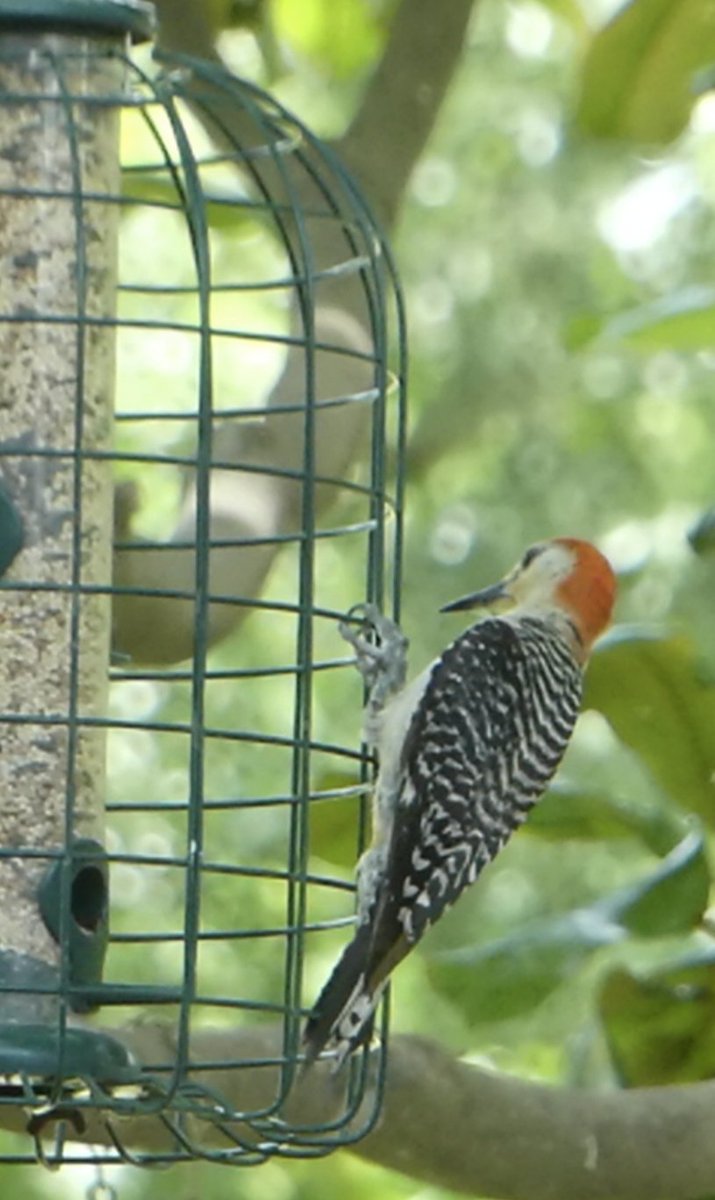 Mark Nau (@mark_nau) on Twitter photo 