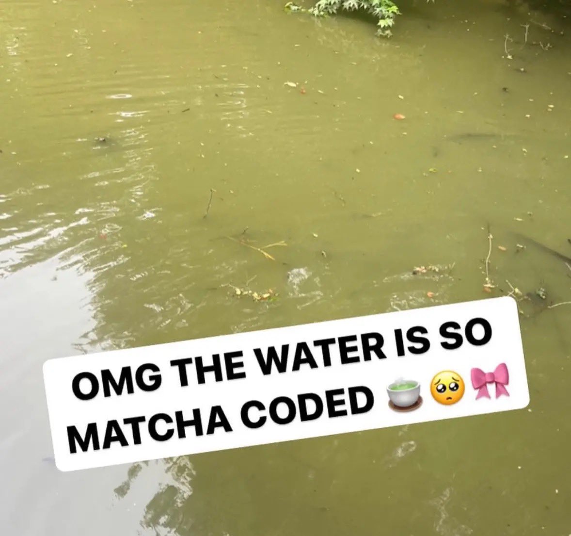 whotfisjovana's tweet image. 