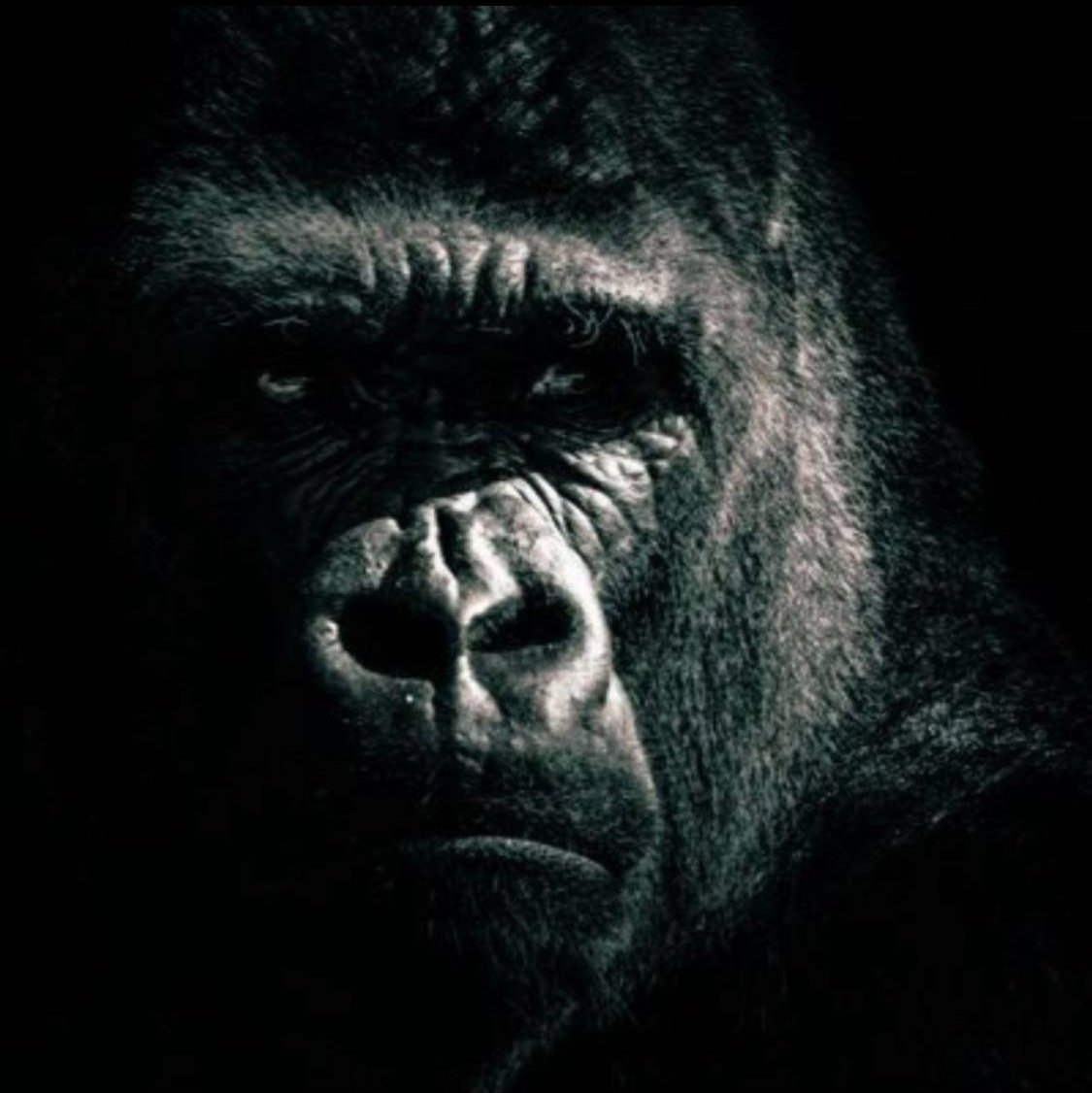 SmokeShorts tweet media