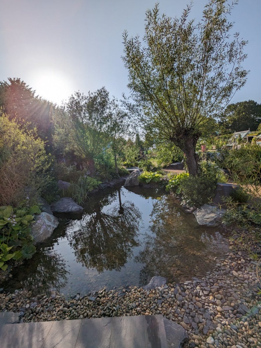 Gold 🥇 

Such a wonderfully great garden and team, congratulations @HerveyBrookes
@CR_UK
#RHSHamptonCourt
#RHSHampton 

@GKWilsonGardens @iplantsman