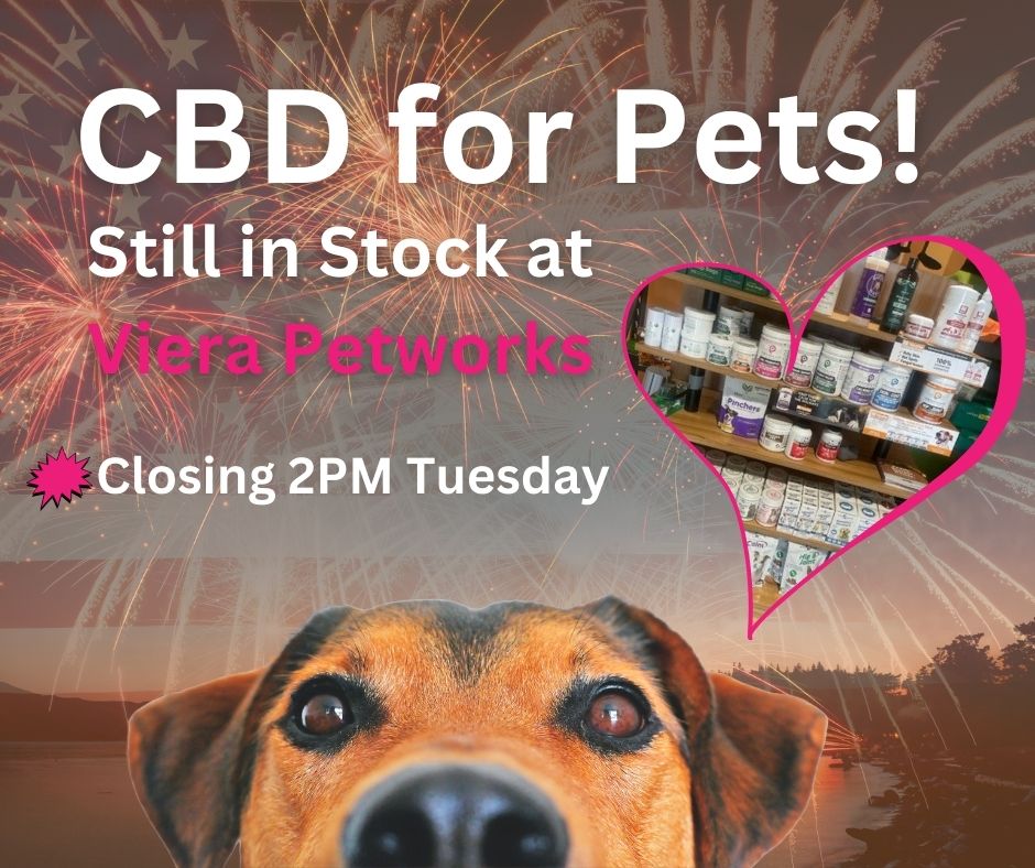 Vierapetworks's tweet photo. This #article talks about Independence Day and how our pets may find the loud noises and #fireworks quite overwhelming. Fortunately, #CBD products can help ease their anxiety and keep them calm. At #VieraPetworks in #BrevardCountyFL, we offer a range of  #CBDpetproducts https://t.co/usXRtMKoAp