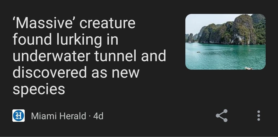 you know that they found? you know what the massive lurking creature was? it was an 8 inch sea sponge.