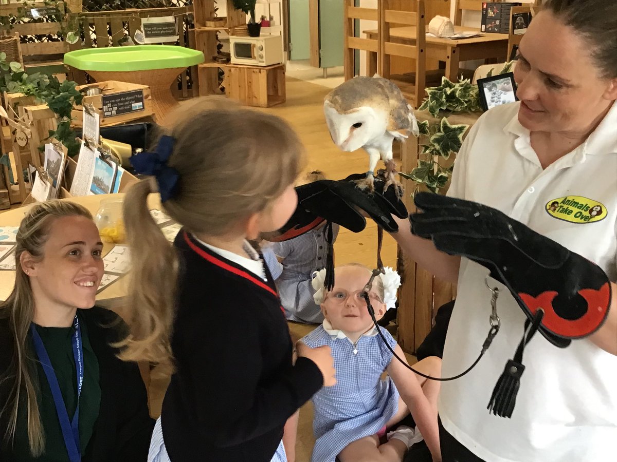stthomasce's tweet image. Nursery had a wonderful time meeting animals from different countries today. We met a bearded dragon, a tree frog, Monty the python, a millipede, hermit crabs, a hedgehog, a sugar glider, a chinchilla and a barn owl! @AnimalsTakeOver @LDSTEducation #stthomaseyfs