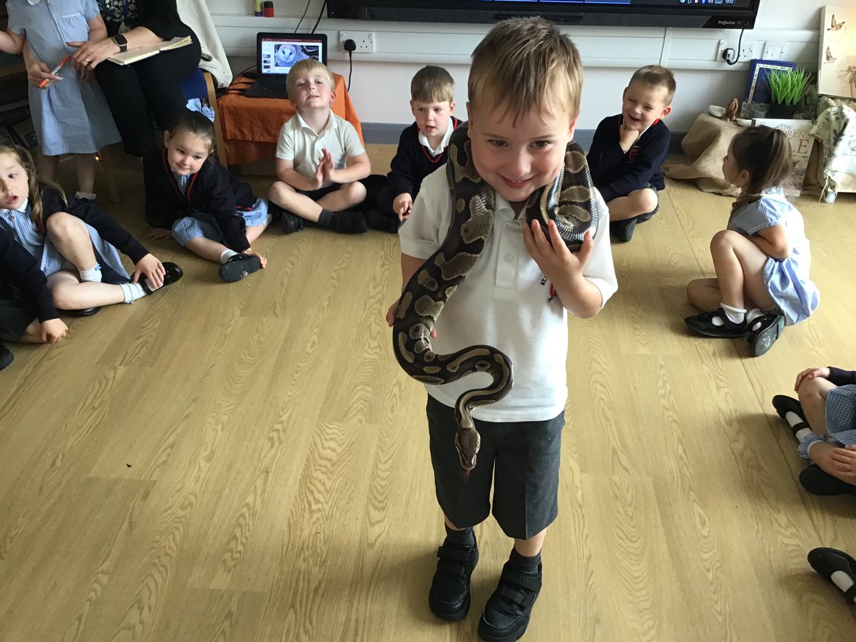 stthomasce's tweet image. Nursery had a wonderful time meeting animals from different countries today. We met a bearded dragon, a tree frog, Monty the python, a millipede, hermit crabs, a hedgehog, a sugar glider, a chinchilla and a barn owl! @AnimalsTakeOver @LDSTEducation #stthomaseyfs