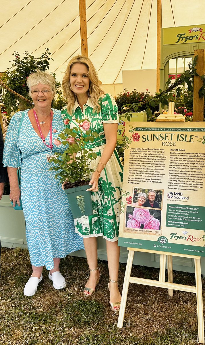 Two special roses today at @The_RHS Hampton Court Flower Show - the @Rob7Burrow rose from @harknessroseco raising money for @mndassoc & the Sunset Isle rose in memory of Gill’s brother Richard from Fryer’s Roses @GardenCentre raising funds for @MNDScotland. Huge thank you 🧡💙