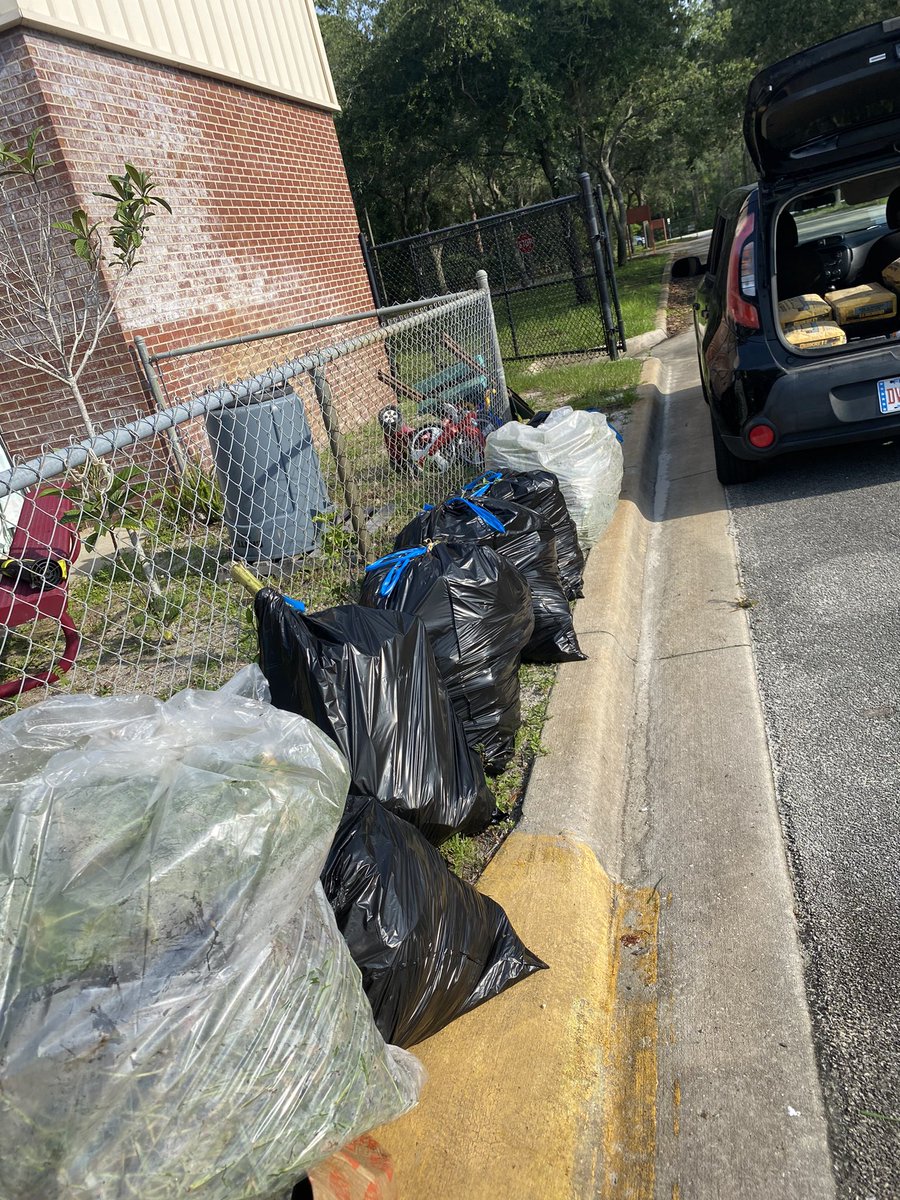 Garden clean up day! Grateful to our volunteers. We cleared out overgrowth , discovered a nest, and built some shade. Getting ready for another awesome year in the Dolphin Garden! 🪹🪴<a href="/PalmTerrace_VCS/">Palm Terrace Elementary</a>