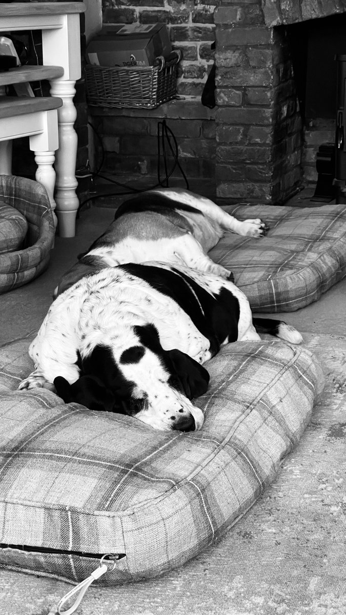 Phil Sledge tweet media