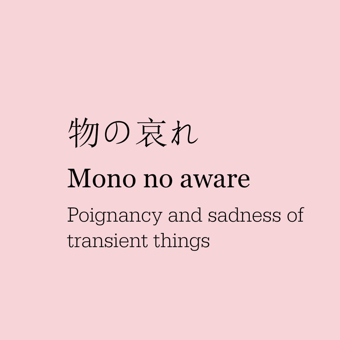 the Christine Cai tweet media