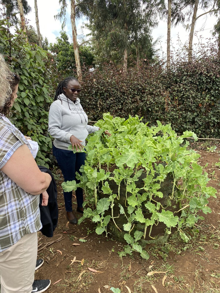 Teresa Marques tweet media