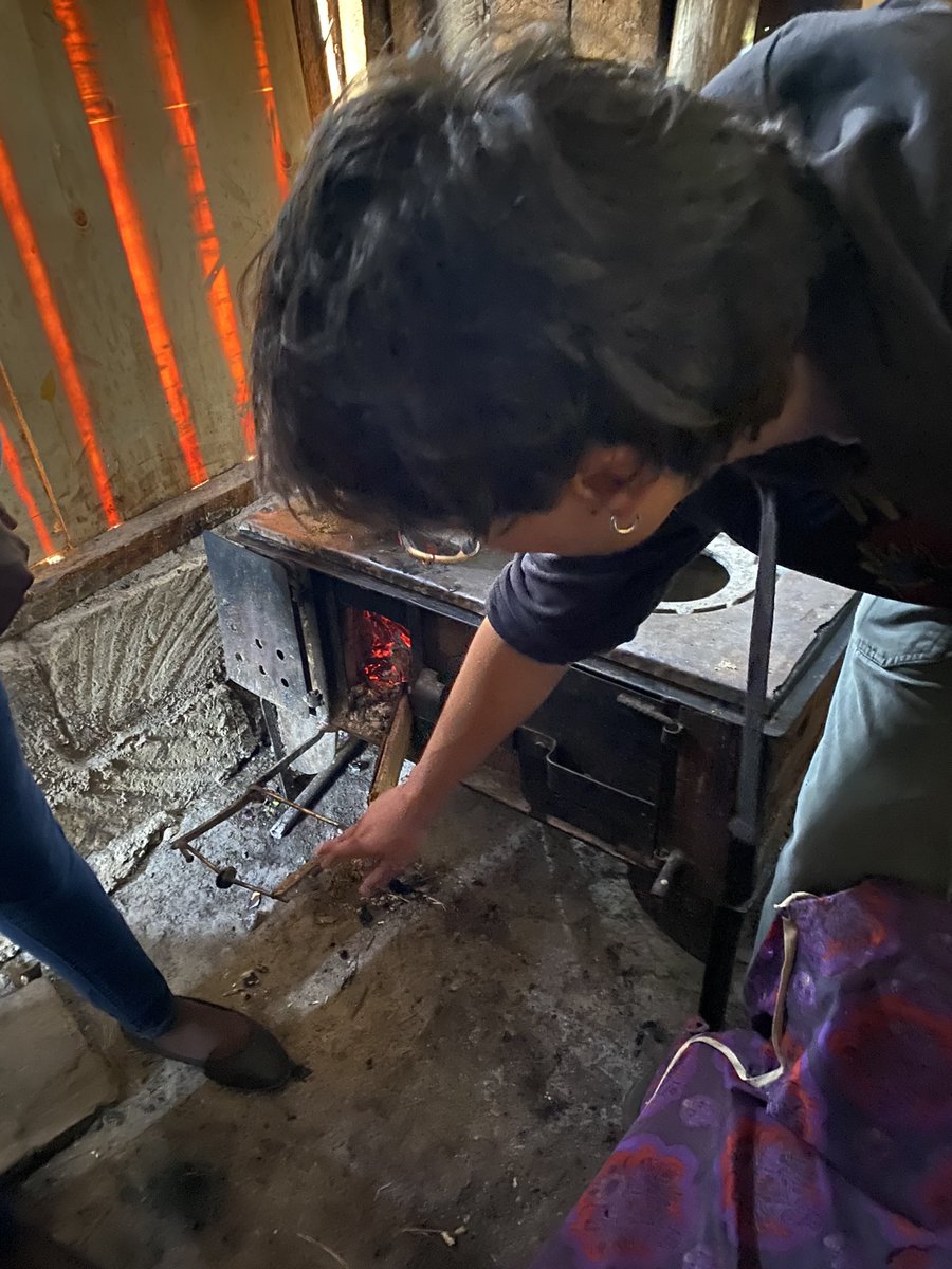 Teresa Marques tweet media