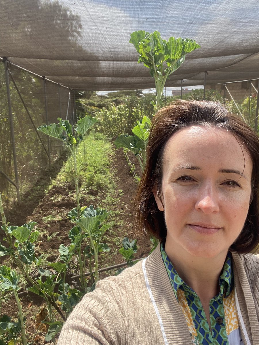 Teresa Marques tweet media