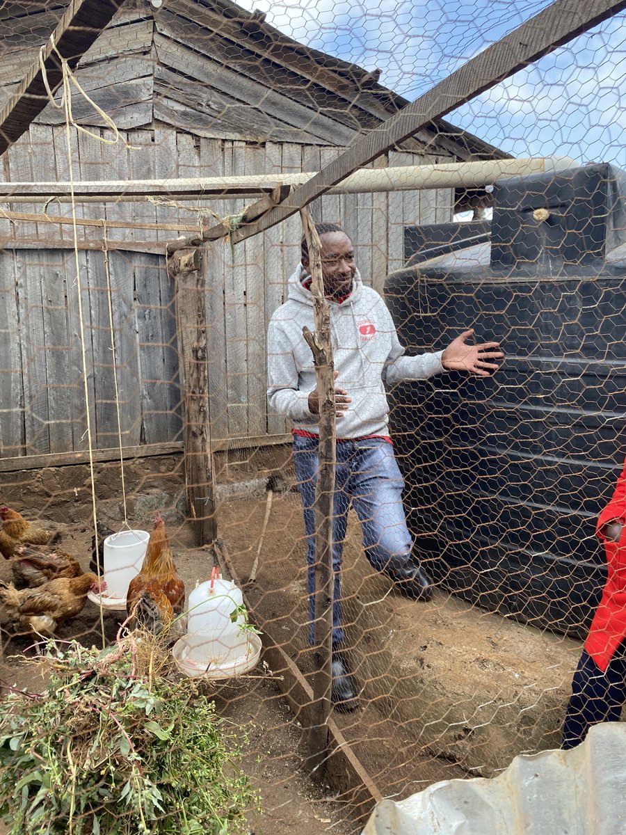 Teresa Marques tweet media