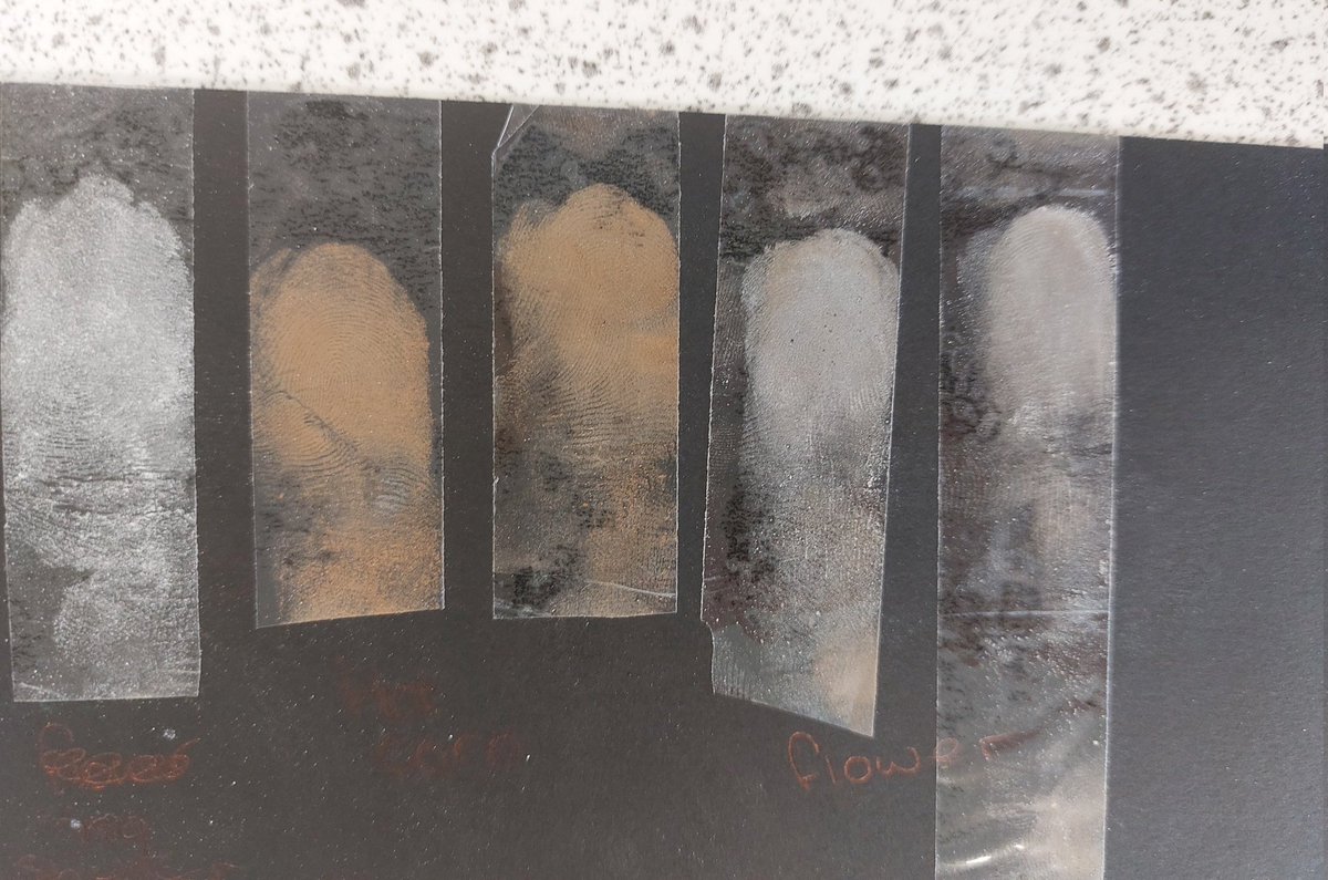 GacScienceDept's tweet photo. Starting #EnrichmentWeek with CSI Grace Academy... using fingerprints to solve the mystery of the missing mug!
Well done Year 8!

@GACoventry https://t.co/I7w528lDTv