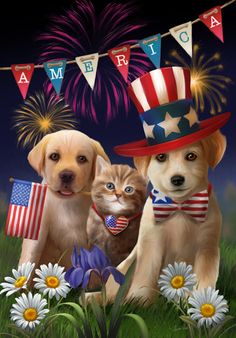 Hope Your Pets are a High Priority during this July 4th Holiday.  Be Safe, have fun, minimize any fear from firework sounds that may happen near your homes.  #dogs, #cats, #Adoptable Dogs, #Adoptable Cats, #puppies, #kittens,