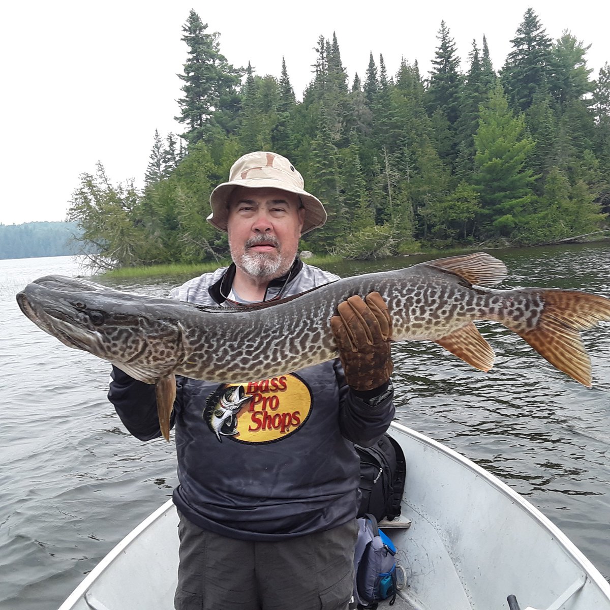 FiresideFish's tweet image. Trophy Tiger Muskie caught by Mike Strohl from Charlotte, NC at Fireside Lodge in Ontario Canada
Join Us on Instagram instagram.com/fireside.lodge/
See us at airbnb.ca/users/42559636…
Website firesidelodge.com