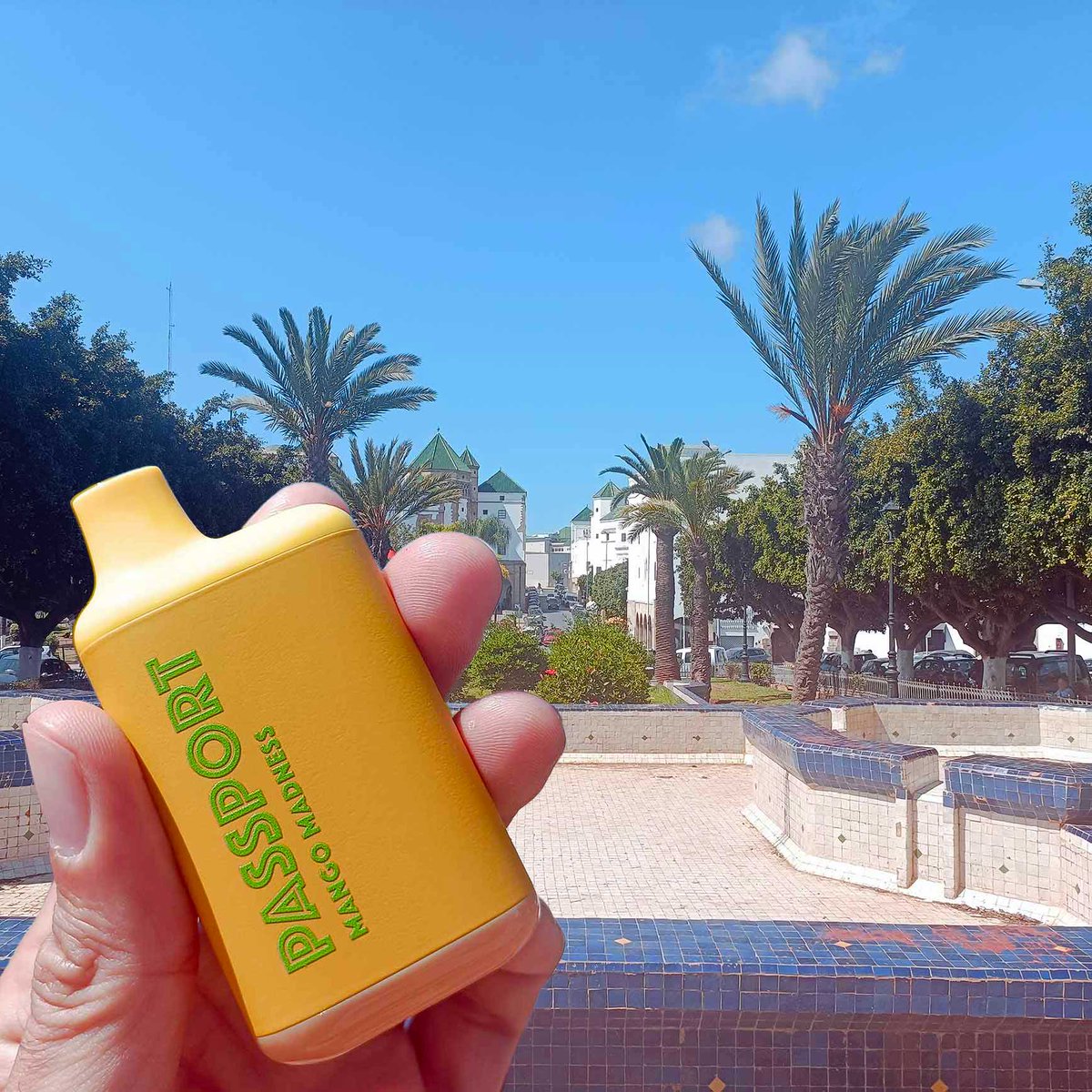 ivapepassport's tweet photo. Essalam Casablanca... 🇲🇦🇲🇦🇲🇦

Quick visit to the local souk to grab some souvenirs.

Let the flavor take you places!

#ivapepassport
#mango #mangomadness
#souvenirs #souk
#morocco #casablanca
#vapers #vape 🌬💨 💨 https://t.co/4izR74XL1L