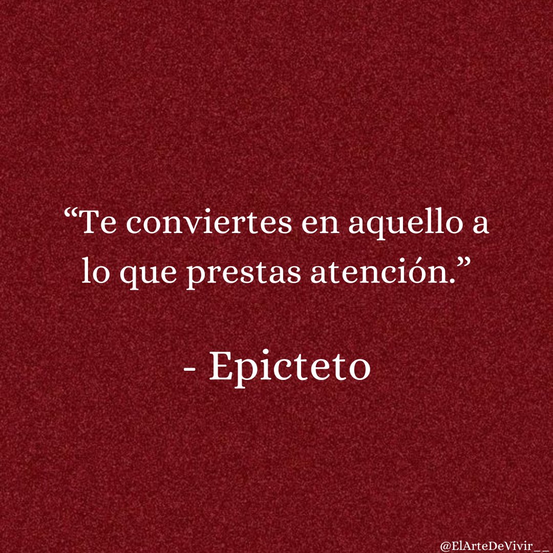 5 frases estoicas para mejorar cada día:

1.
