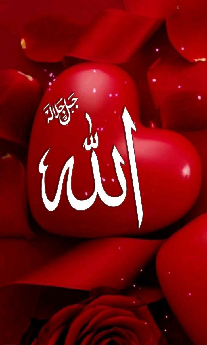 خــداونـد متـعـال ؛ مـال ؛ دارایـی ؛ زیـبایـی و فـراخـی دنـیـا را بـه هـر ڪسی مـمـڪن اسـت اعطا ڪنـد ...

امـــــا هـــدایـت را فـــقـط نـصیـب قـلبـی مـی ڪند ؛ ڪه دوسـتـش دارد ...!!
🤍