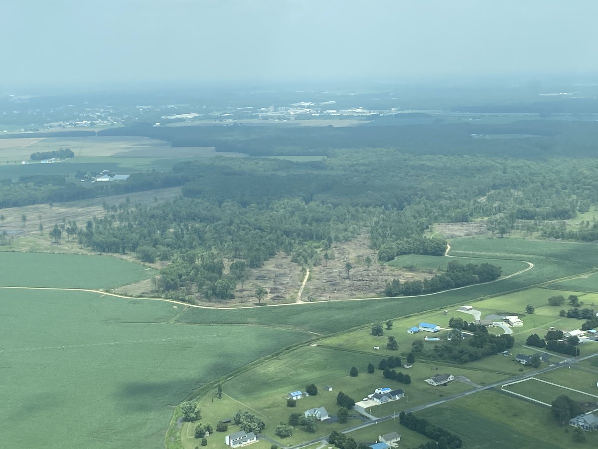 DelawareForests's tweet photo. Check out these photos taken from our aircraft when it flew over Sussex County. There is one very small potential spot for #SouthernPineBeetle🌲 but our forest health specialist Bill and his interns will provide a ground check later this week 🔎 #AerialSurvey #ForestHealth #NetDE https://t.co/YJtl0wPelo