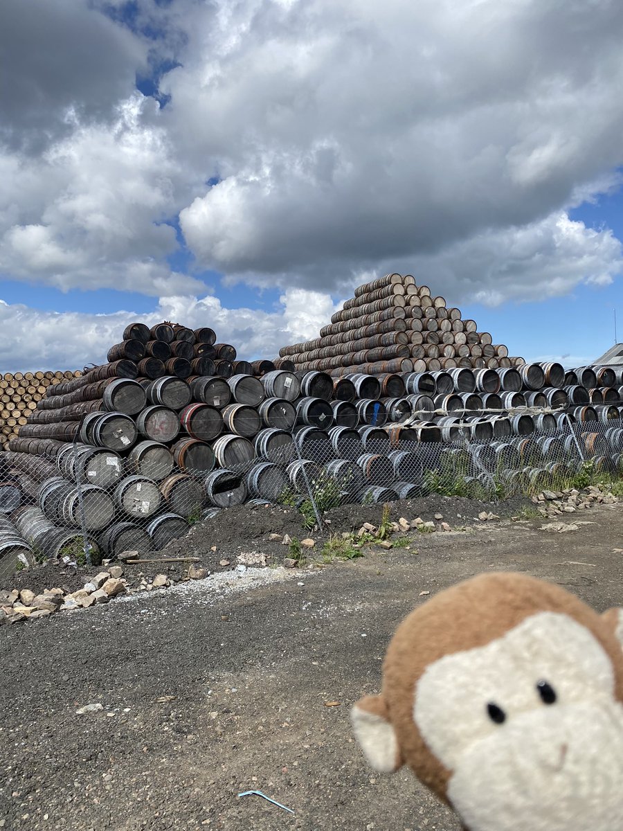 GpSmnky's tweet photo. Drove by the local cooperage, where thousands of USA bourbon barrels are reassembled to make the local whiskey. Then off to our final tasting, #AberlsourDistilery Best part was I met a good friend there by happenstance! https://t.co/eA0lwIxNuL