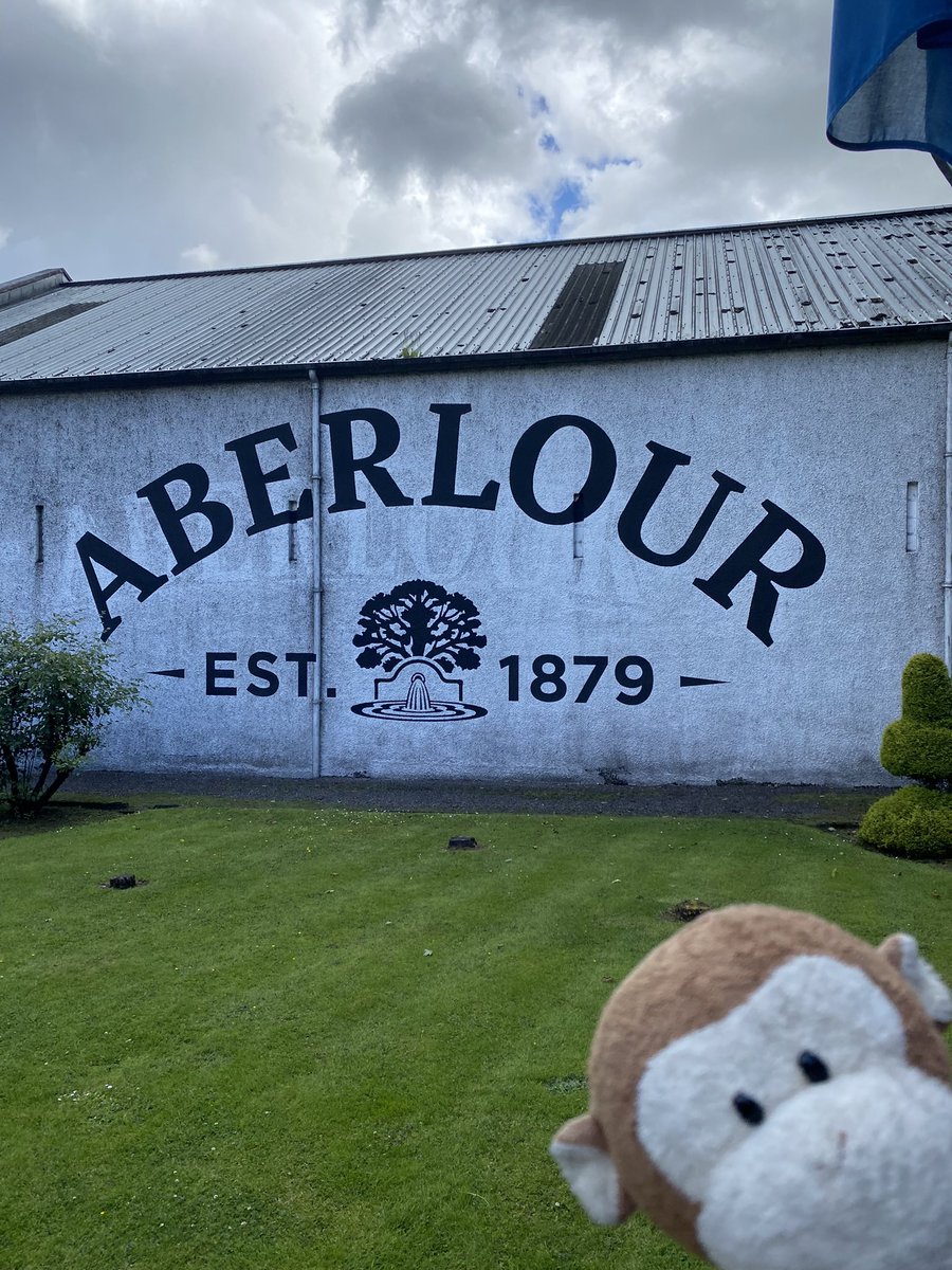 GpSmnky's tweet photo. Drove by the local cooperage, where thousands of USA bourbon barrels are reassembled to make the local whiskey. Then off to our final tasting, #AberlsourDistilery Best part was I met a good friend there by happenstance! https://t.co/eA0lwIxNuL