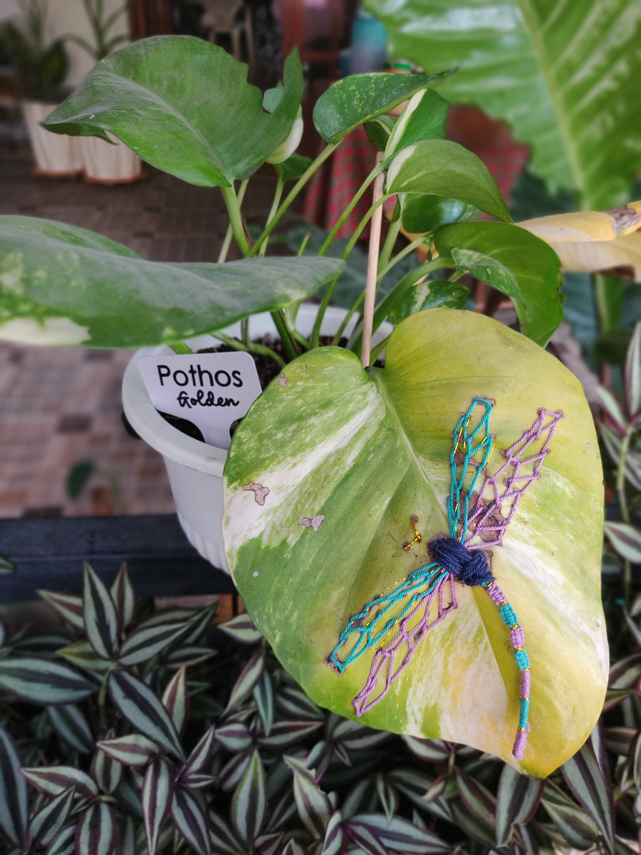 Ms_SammySam's tweet image. 10 months and the leaf i embroidered for @GISH is turning yellow.
End of an era.