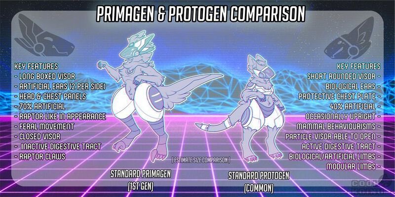 So in light of a few questions I was asked during the convention:
“What is the difference between a prima and protogen?”
May I present this comparison guide created by <a href="/CoolKoinu/">KOINU 🔜 FURDU</a> 🥰 
I hope this clears up any confusion 🩷