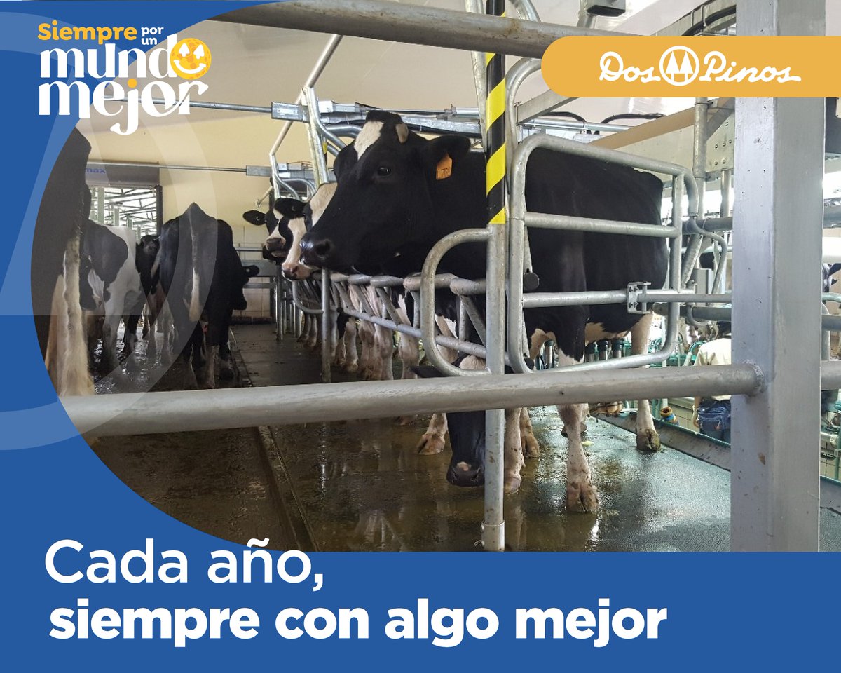 DosPinosOficial's tweet photo. Desarrollamos un Estándar de Finca Responsable para fomentar la gestión integral de las unidades productivas en los ejes social, ambiental, económico y de bienestar animal. 
Conozca más al respecto en nuestro Reporte de Sostenibilidad 2022 👉🏻https://t.co/v7EeYrmHZw https://t.co/vu2GYfScaH