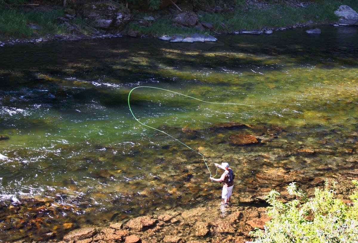 Mastering the Art of Setting the Hook on a Fly Reel for Trout huntzingersadventures.com/2023/07/03/mas…
