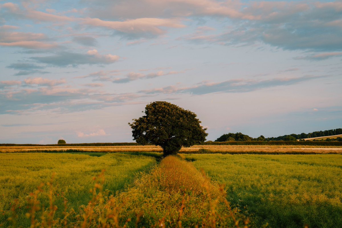 DanielCasson1's tweet photo. Moments 🍃 // https://t.co/bbZdsorGuo