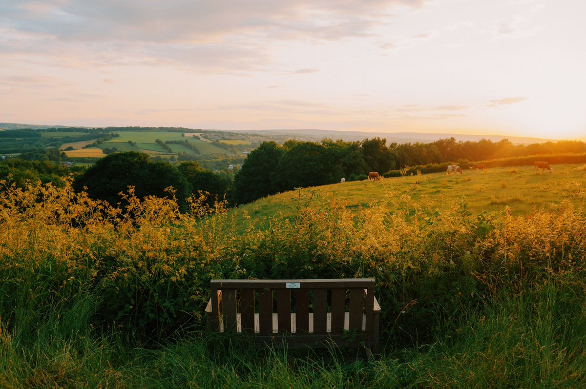 DanielCasson1's tweet photo. Moments 🍃 // https://t.co/bbZdsorGuo