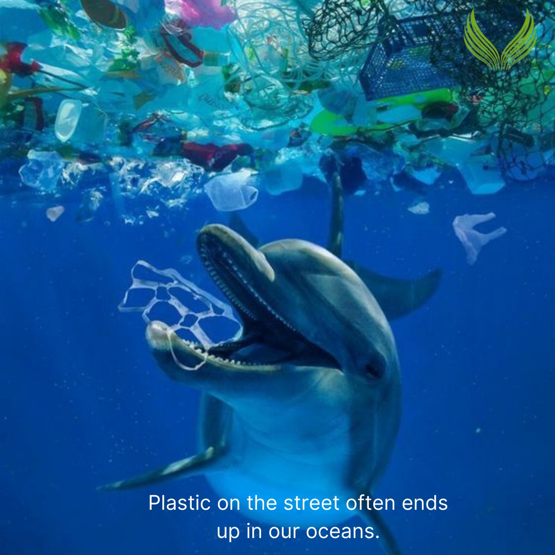 The best way to reduce plastic pollution in the ocean is to refuse and single-use plastic product - packaging, straws, bags, takeout containers, coffee cups, bottle tops and holders. Get used to not using disposable plastic.

 #endplasticwaste #hactoendplasticpollution #plasti...