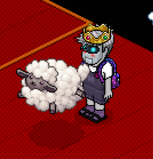 Raiden Solid tweet media