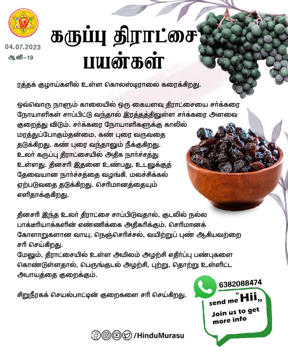 HinduMurasu's tweet photo. கருப்பு திராட்சை பயன்கள்..!

#கருப்புதிராட்சை
#கருப்புதிராட்சைபயன்கள்
#மூலிகைகள்
#திராட்சை
#தமிழ்போஸ்டர் https://t.co/cIZAvVOO9B