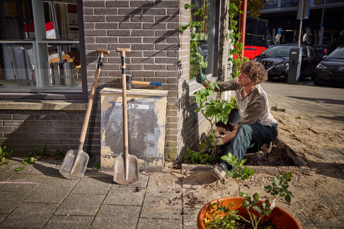 Goed nieuws! De subsidie Klimaatadaptatie is vernieuwd! 🌳🌦️ Ontvang nu een vergoeding voor het aanleggen van groen, het opvangen van regenwater, het nemen van hittemaatregelen en meer. Benieuwd naar alle details? rotterdamsweerwoord.nl/weerberichten/…