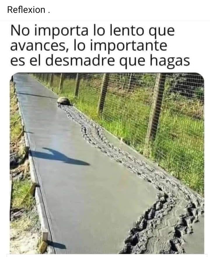 Vicky Martinez (@vickyma65455837) on Twitter photo 