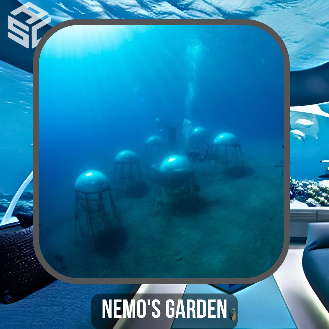 AtlantisSeaCol's tweet photo. Nemo's Garden is an underwater cultivation designed by Sergio Gamberini along with a team from Ocean Reef Group in 2012.

#underwaterresearch #scubajunkies #padi #ssi #naui #oceanawareness #lovetheocean  #underwaterliving #scuba #underwater #architecture #ocean #exploretheocean https://t.co/dPjzXp9GvU