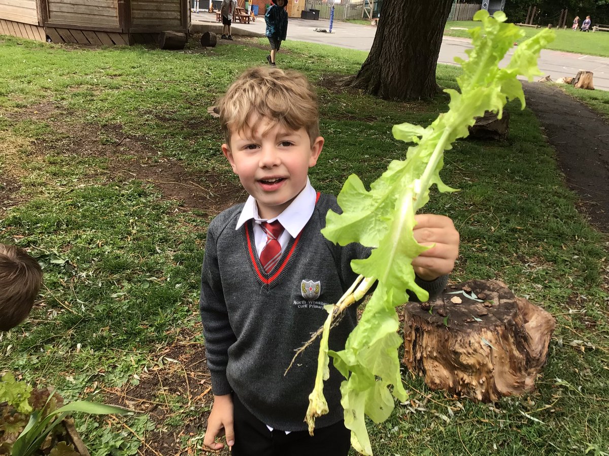 North Wheatley Night Owls tweet media