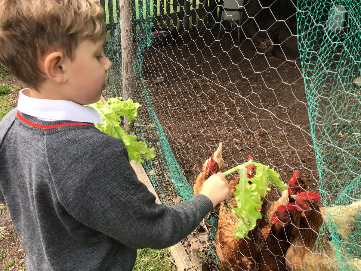 North Wheatley Night Owls tweet media