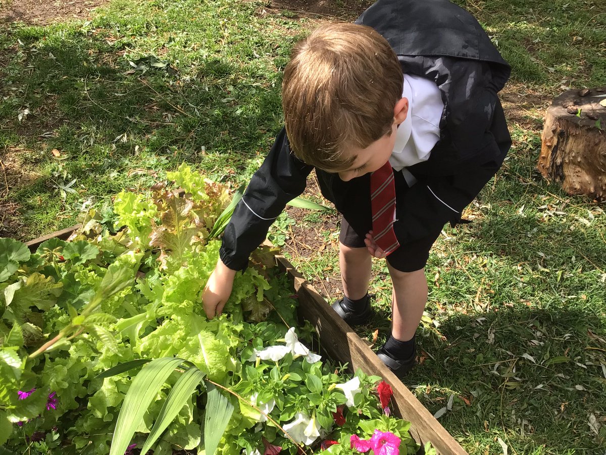 North Wheatley Night Owls tweet media