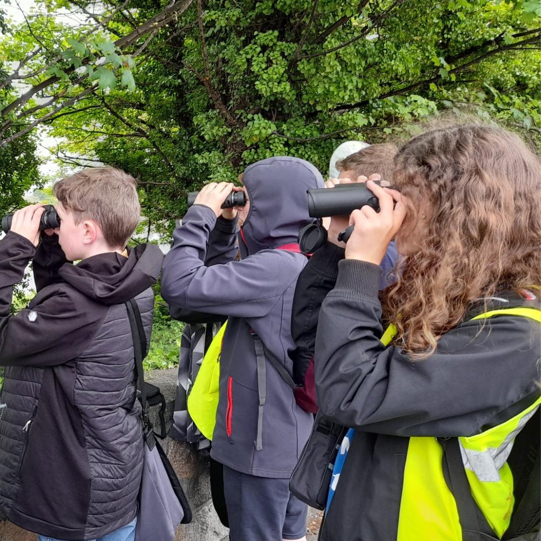 ECOUNESCO's tweet photo. Have you heard about our Green Teens summer camp? This teen camp (13-16 years) runs from July 10-14th, 10am-3pm.
Click the link to register. https://t.co/7cUPLmwZiN
#dublinsummercamp #naturecamp #biodiversitydublin #sustainability #teensummercamp #campsforteens https://t.co/5FkxGObyR4