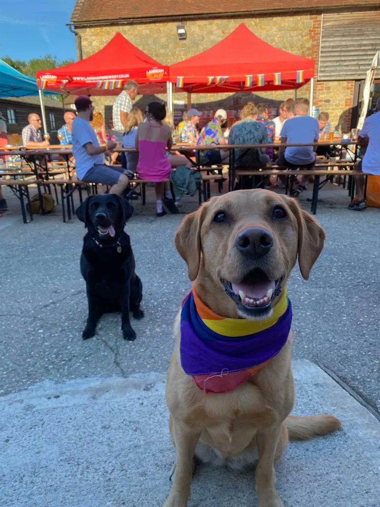 Langham Brewery tweet media