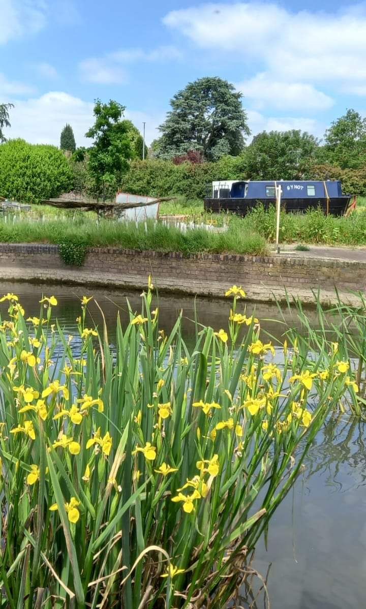 Lichfield & Hatherton Canals Restoration Trust tweet media
