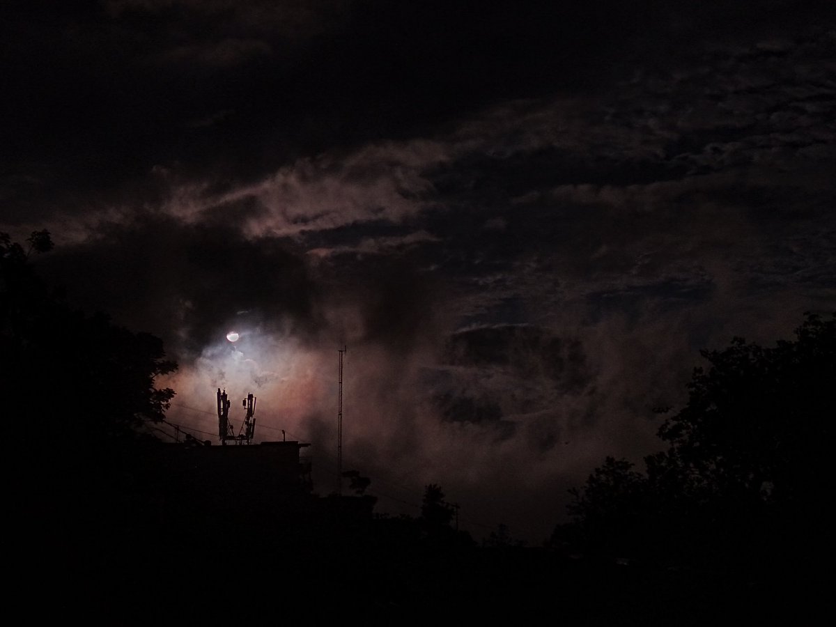 🌿Good night beautiful 🌿