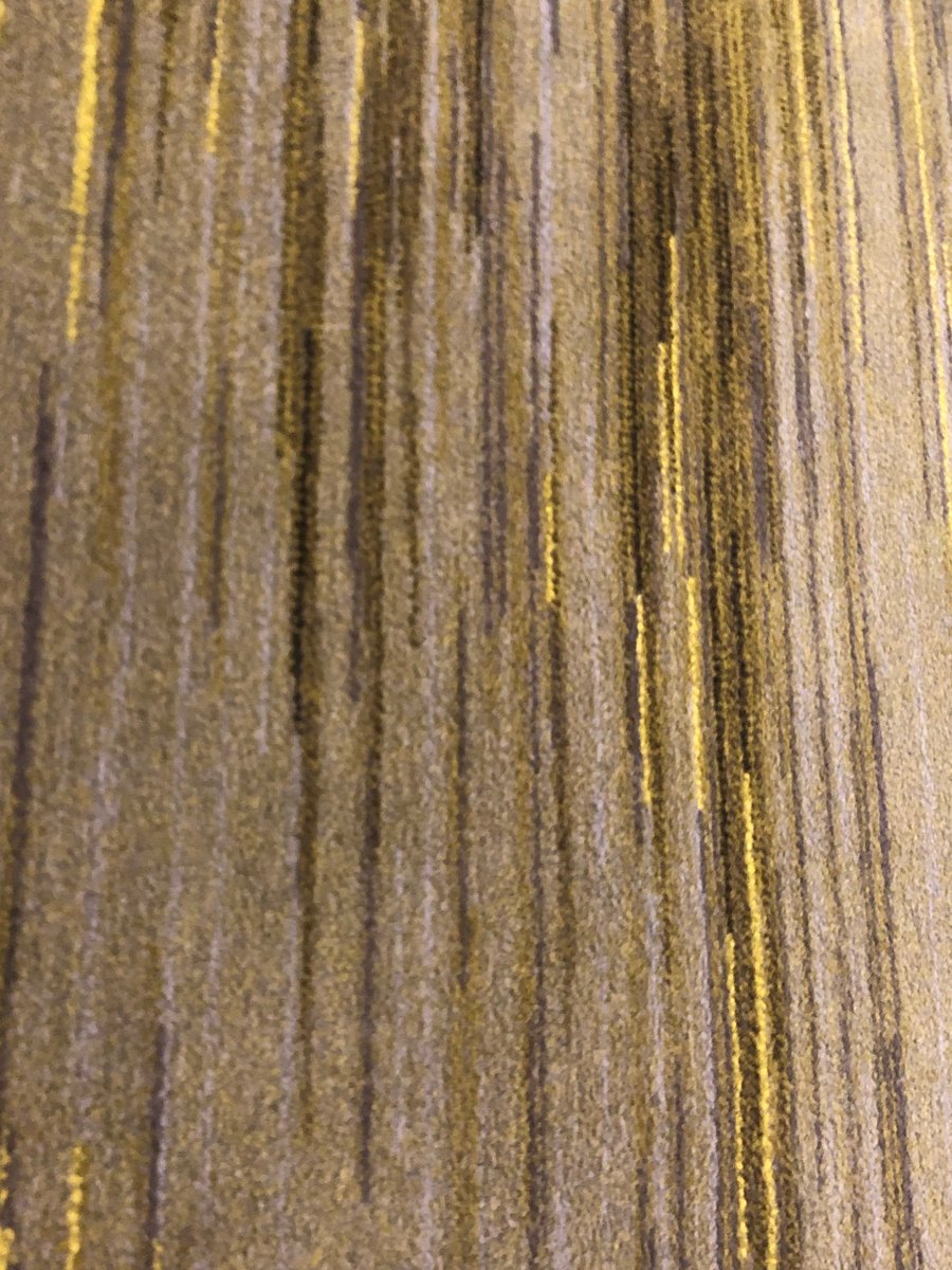 Dr. Claudia Scarlata tweet media